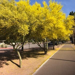 Meet your Posher, Tri